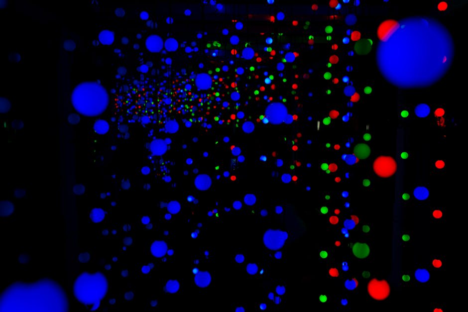 teamLab Borderless: MORI Building DIGITAL ART MUSEUM