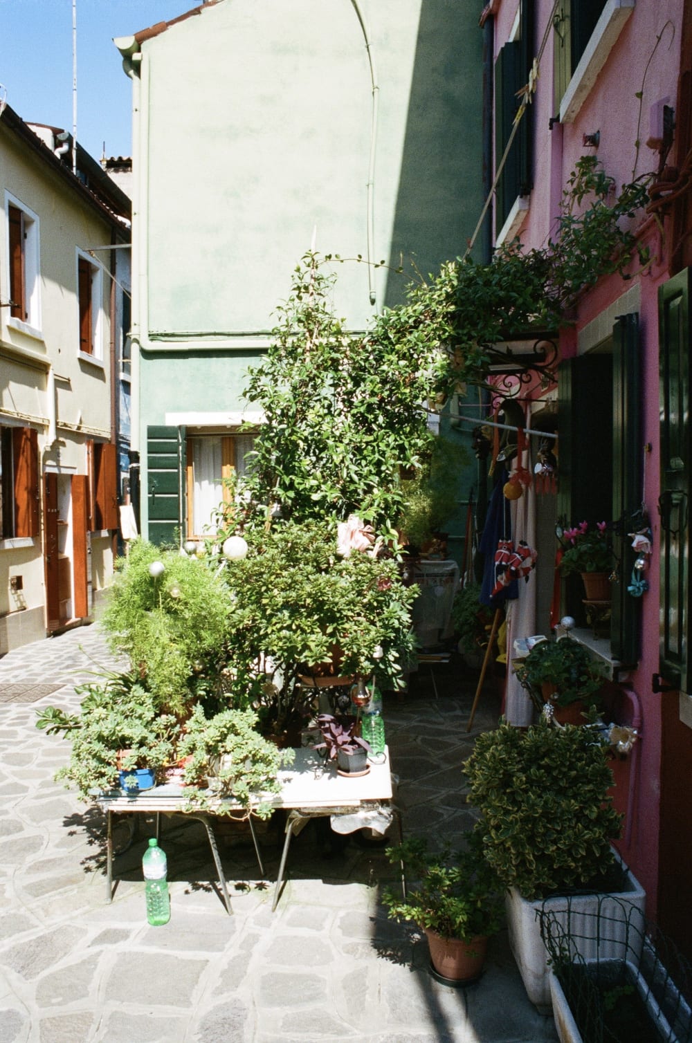 burano-garden burano-garden