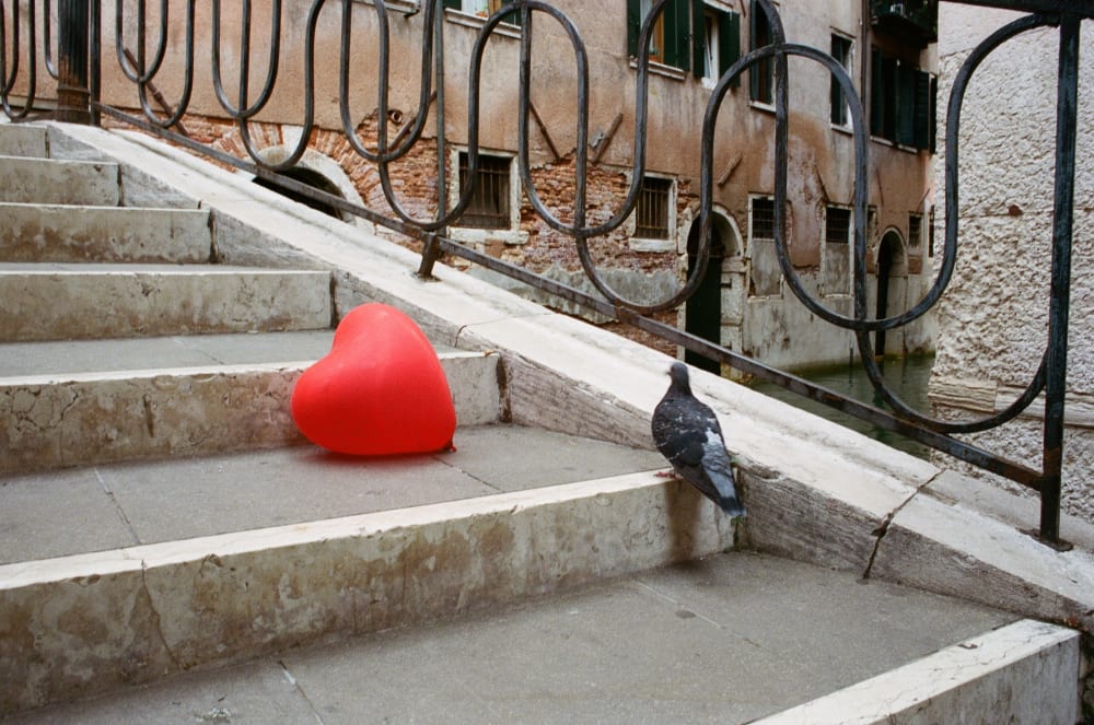 heart-pigeons-in-venice heart-pigeons-in-venice