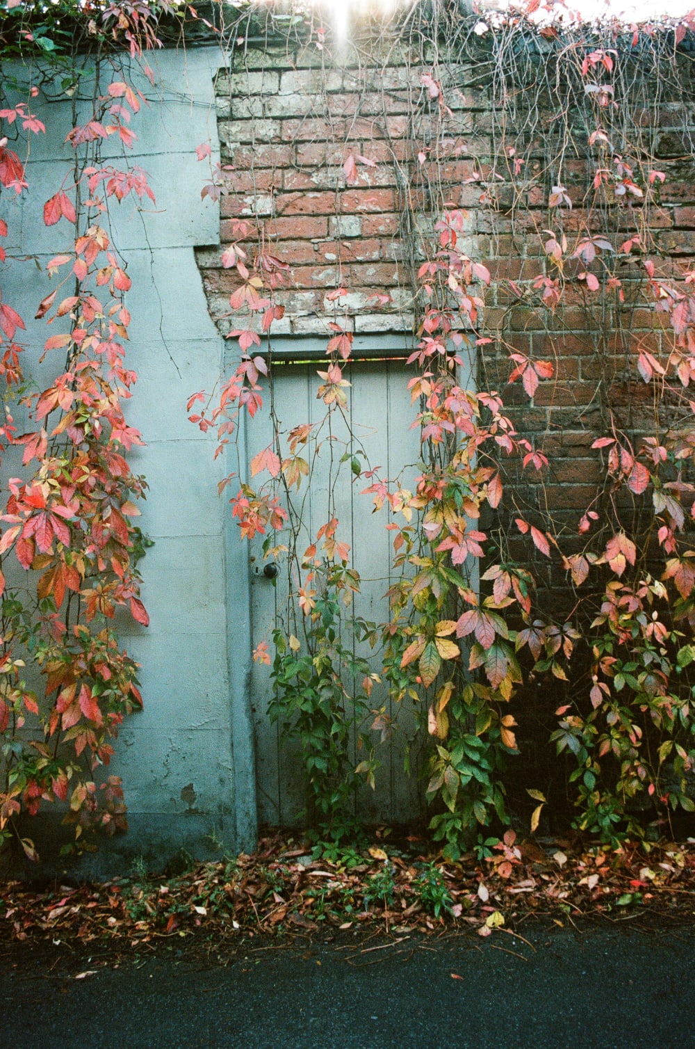 hidden-door hidden-door