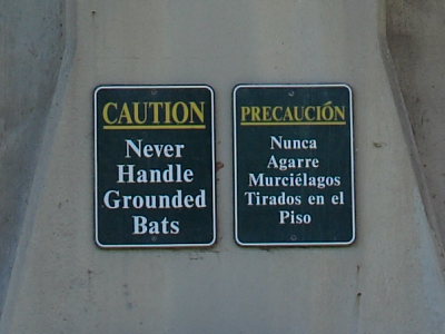 Bat Bridge Health Warning img_2502