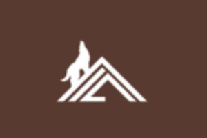 Logo Accident Insurance Company - AIC