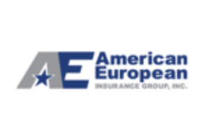 American European Insurance Group
