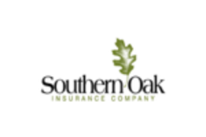 Green Leaf - symbol of Southern Oak Insurance Company - Logo