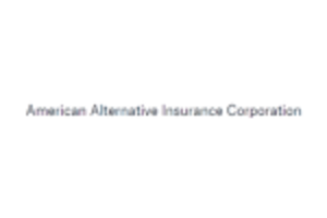 American Alternative Insurance logo