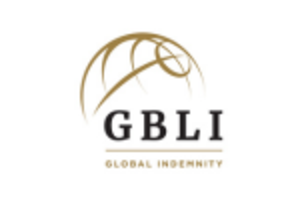 Diamond State Insurance logo