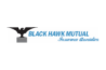 Logo:  Black Hawk Mutual Insurance Association - Farm Mutual - Home Owners - Farm - Crop Hail - Hudson, IA.  WWW.blackhawkmutual.com