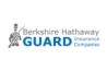 A silhouette of a guard - representing the Berkshire Hathaway Guard Company Logo.
