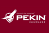 a bird silhouette, pekin insurance logo