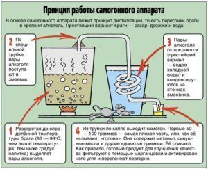Принципы работы самогонного аппарата или миниспиртзавода