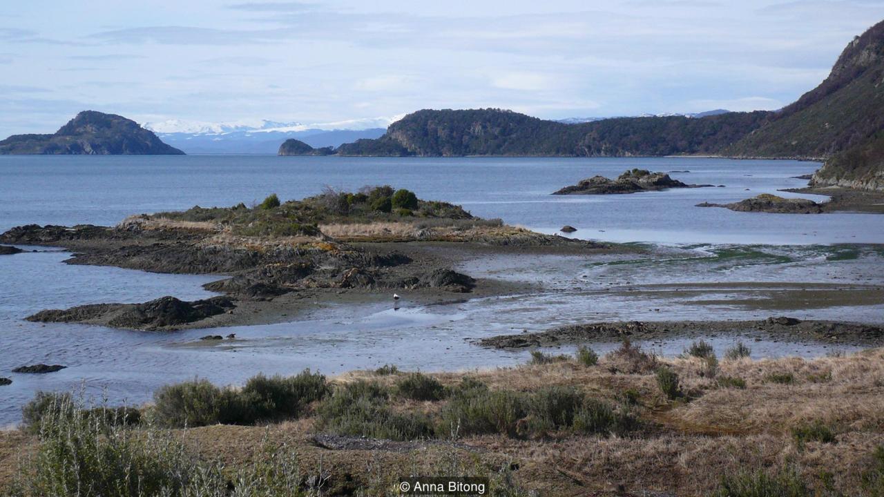 Фотография: Мамихлапинатапай — самое загадочное и сложное для перевода слово из почти исчезнувшего языка №8 - BigPicture.ru