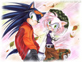 Sonic and Amy