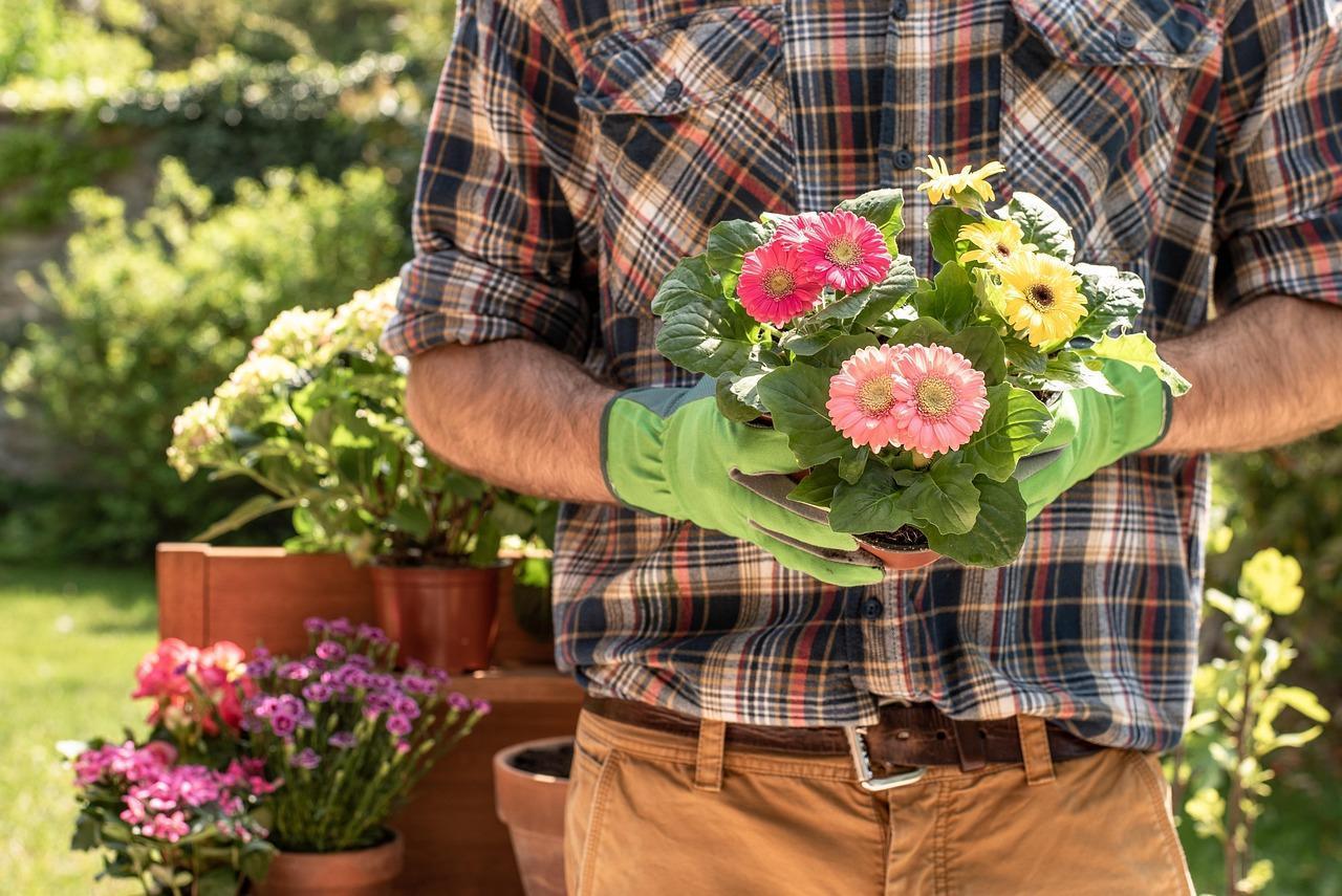 Free Gardener Gardening photo and picture