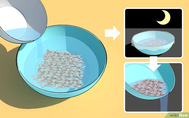 Изображение с названием Grow Wheatgrass at Home Step 3