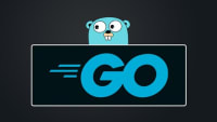 Go - The Complete Guide