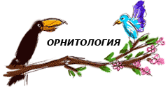 Гнездовая жизнь птиц