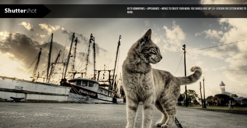 Wordpress шаблоны: 30 Wordpress шаблонов портфолио фотографа