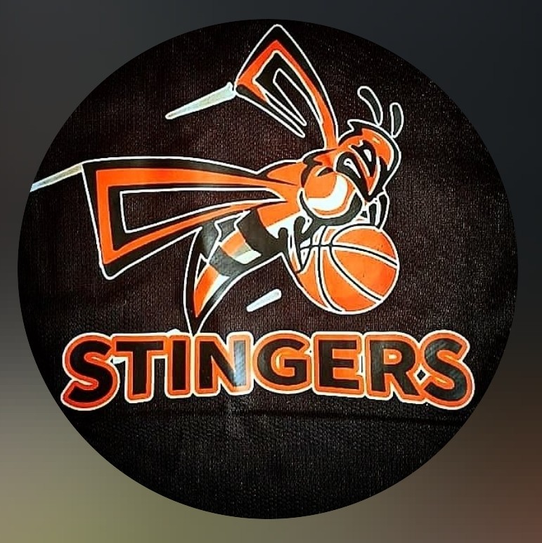 STINGERS  logo