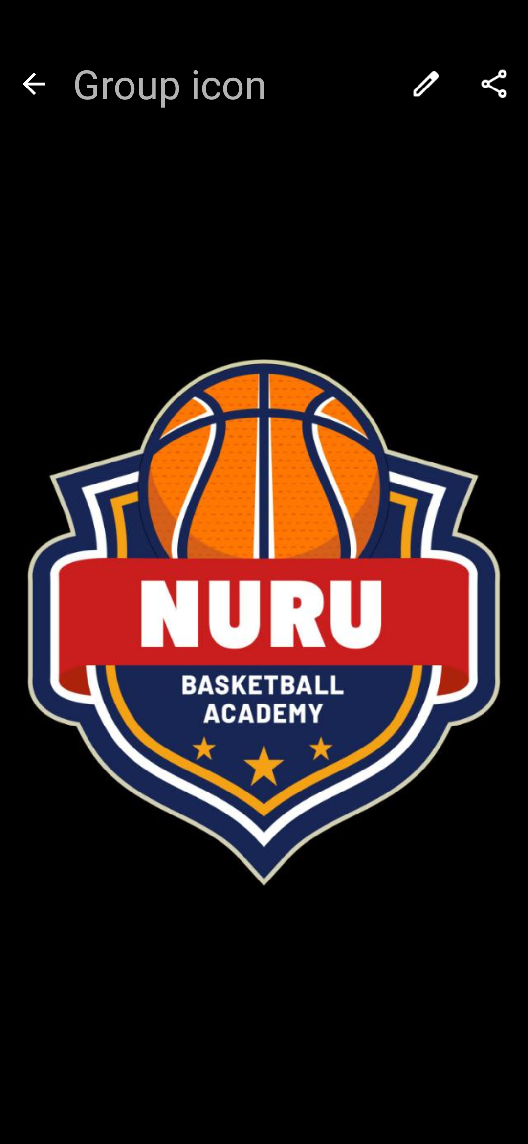 Nuru Basketball Academy  logo