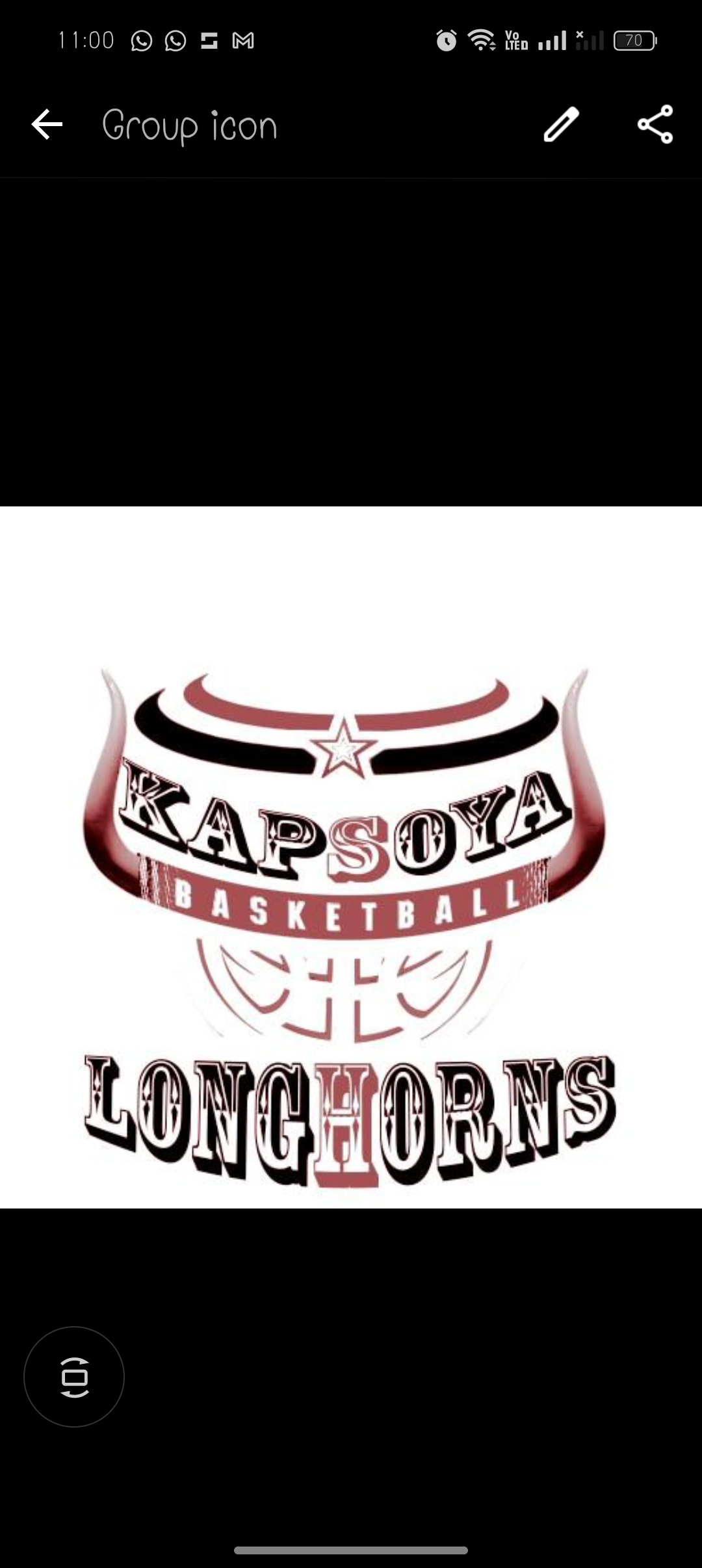 LONGHORNS  logo