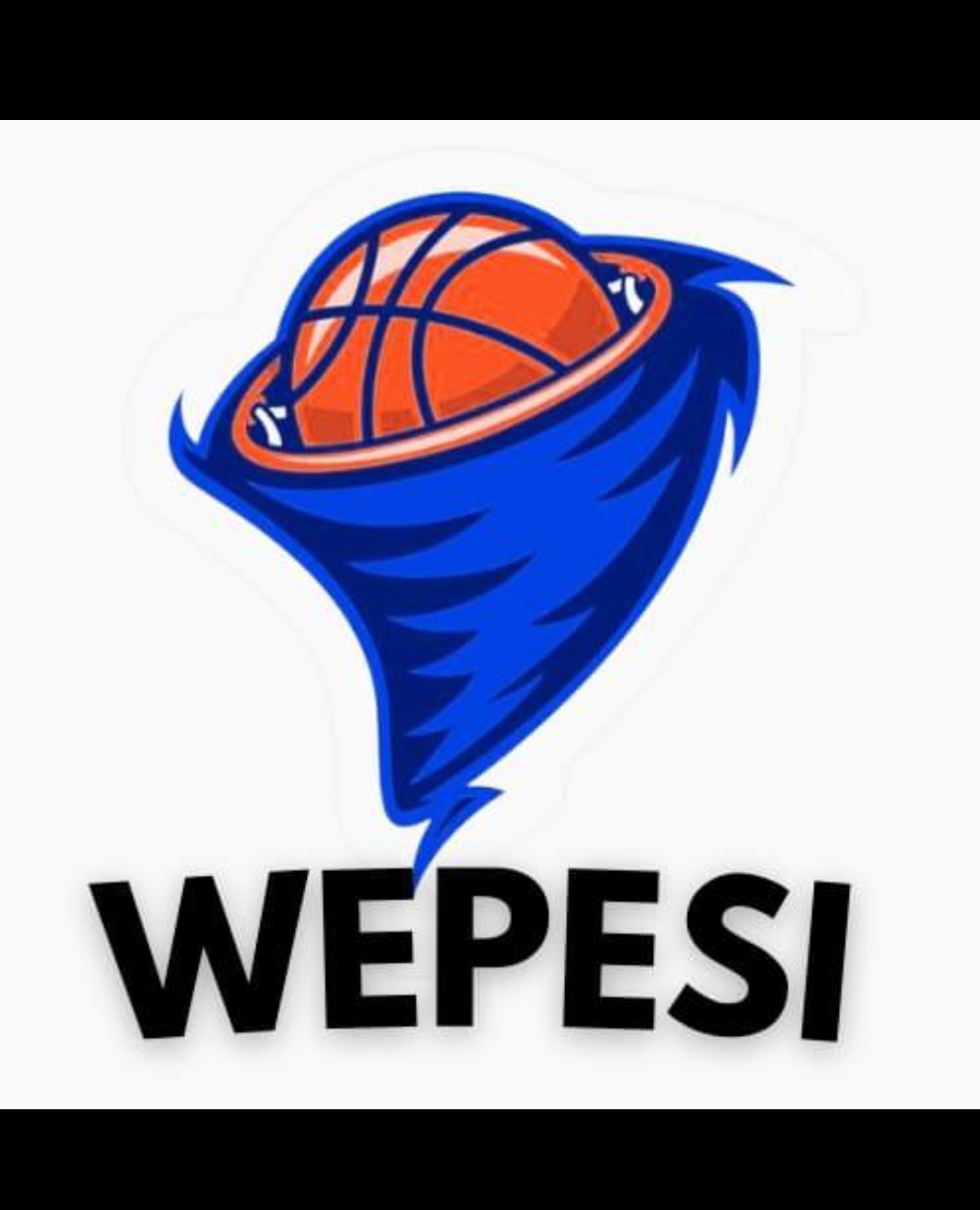 WEPESI BASKETBALL logo