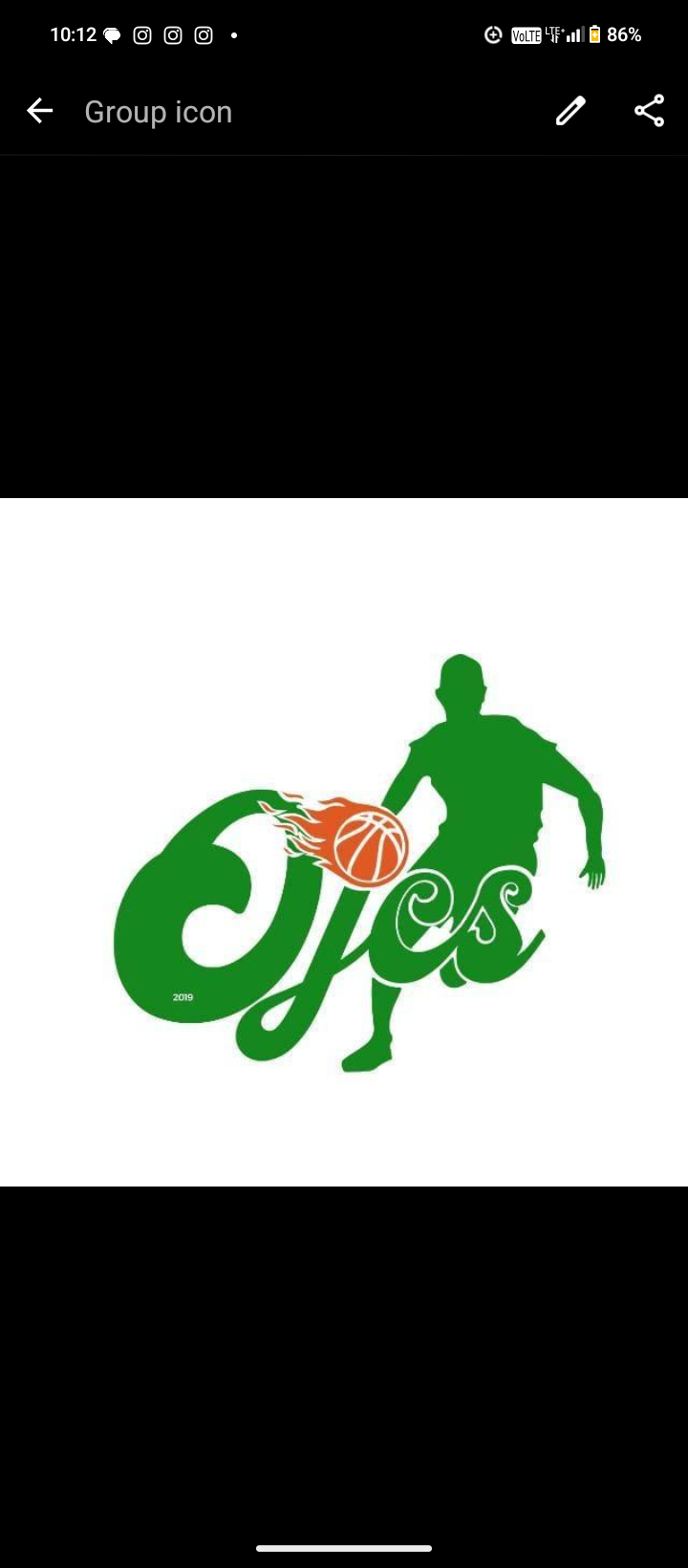 OJCS Ladies  logo
