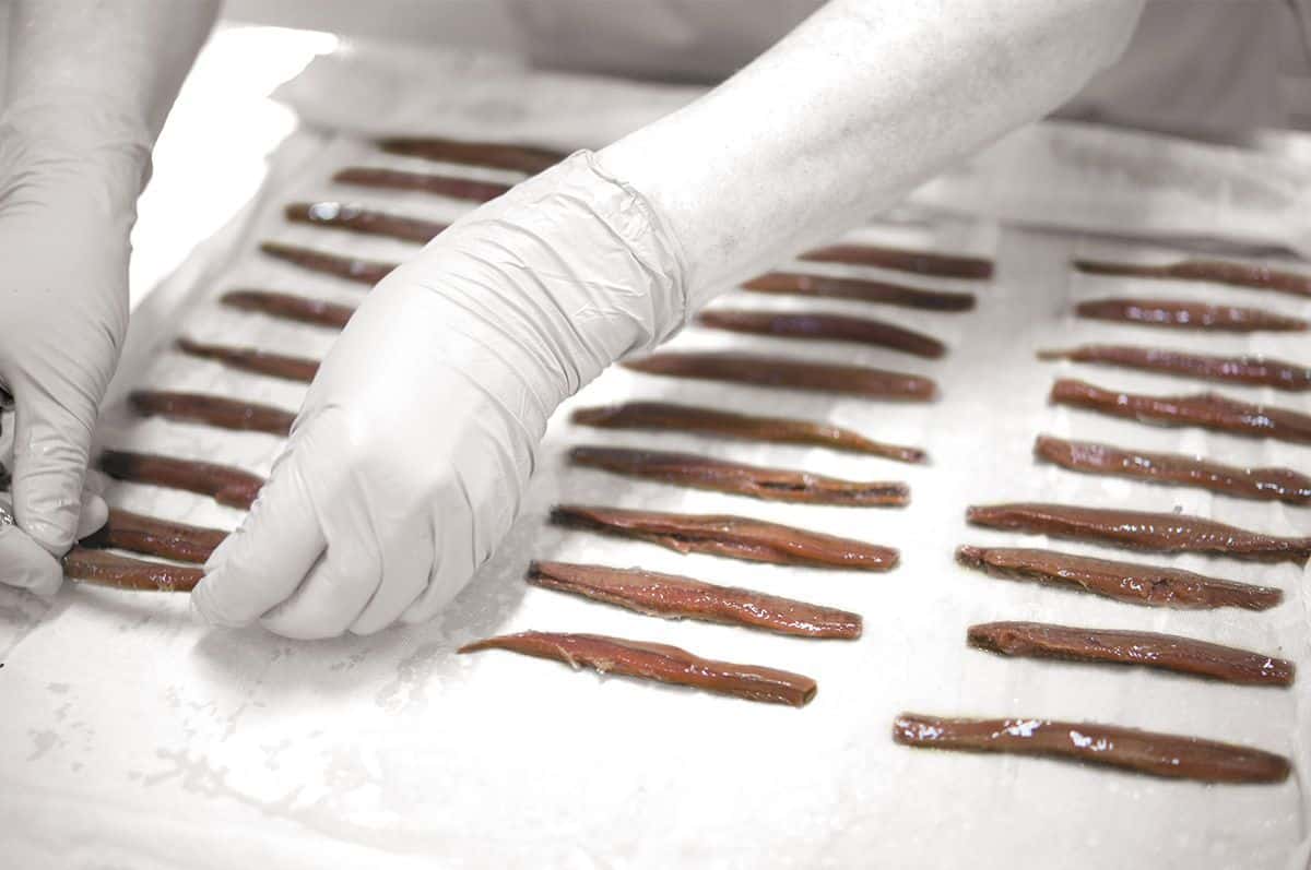 Visita a una fábrica de anchoas - Imagen adicional 1