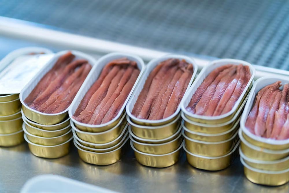 Visita a una fábrica de anchoas - Imagen adicional 3
