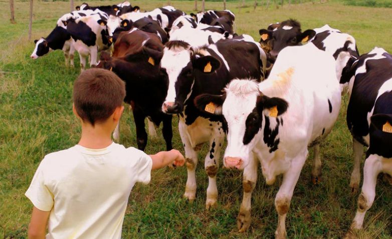 Visita la Granja Marismas de Santa Ana - Imagen adicional 1