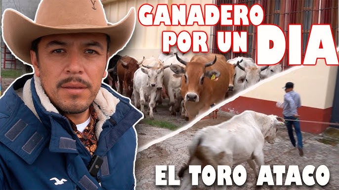 Ganadero por un día - Imagen adicional 1