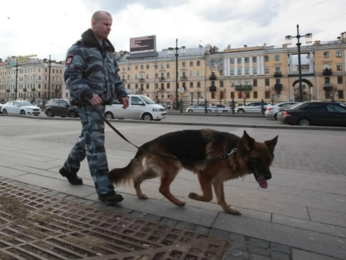 В Санкт-Петербурге нашелся депутат, который месяц не выходил ни с кем на связь