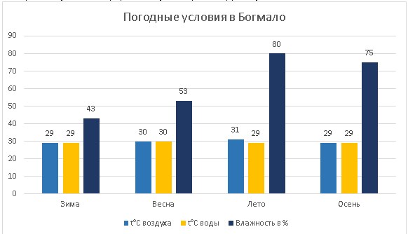 Гоа. Сезон для отдыха по месяцам, температура воды, климат по регионам Северный/Южный