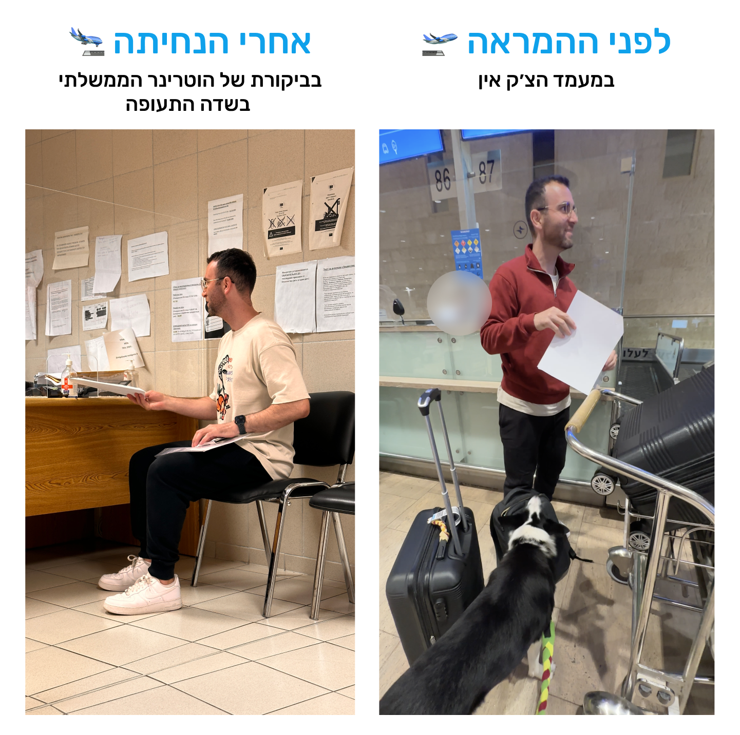 הצגת תעודת בריאות לכלב בצ׳ק־אין בישראל ובביקורת וטרינרית בקפריסין
