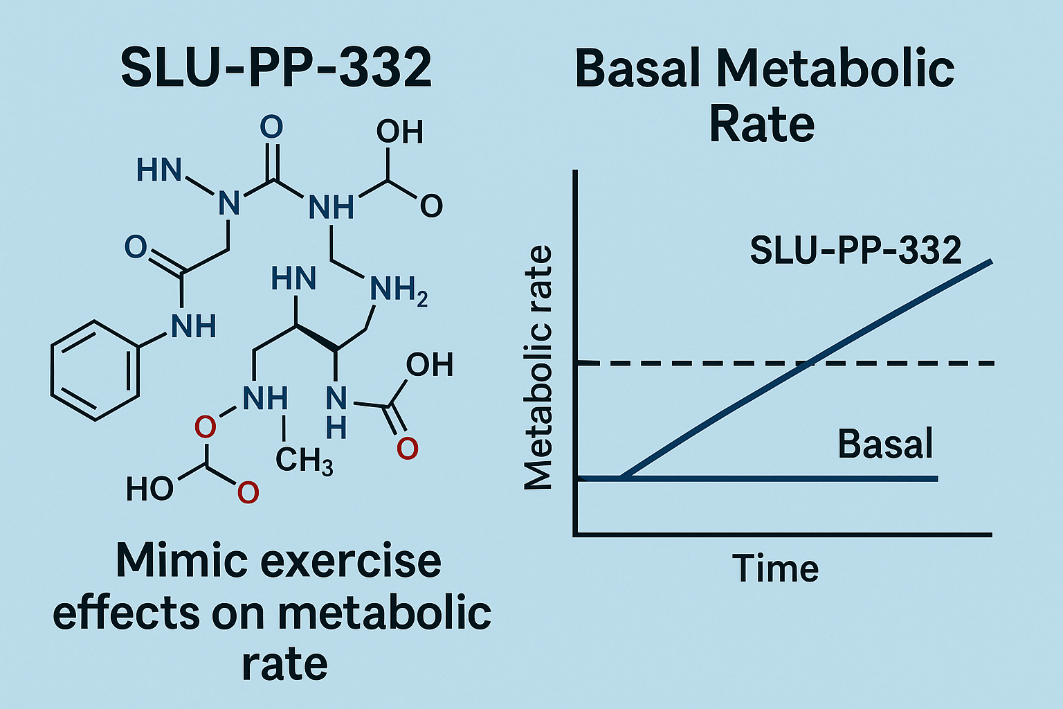 Molecular structure of SLU-PP-332 and graph illustrating impact on basal metabolic rate