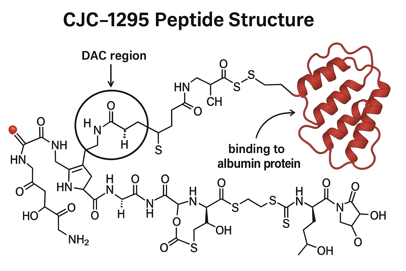 Molecular structure of CJC-1295 with Drug Affinity Complex highlighting albumin binding region