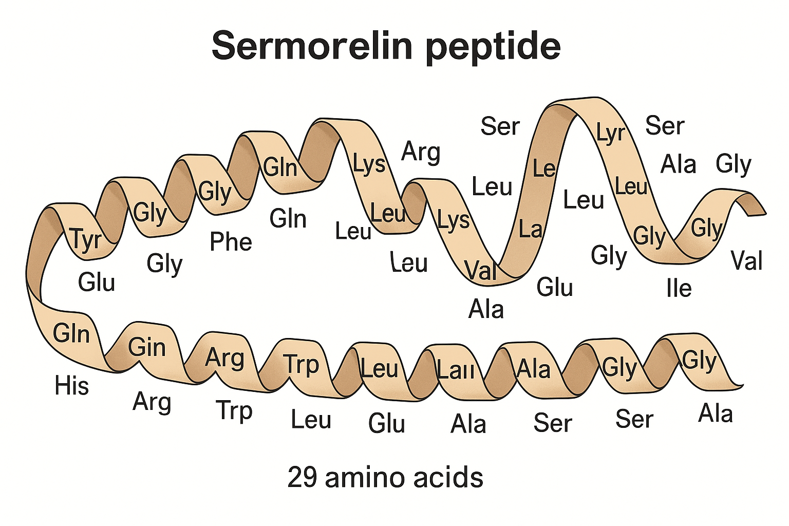 Sermorelin peptide structure and pituitary stimulation