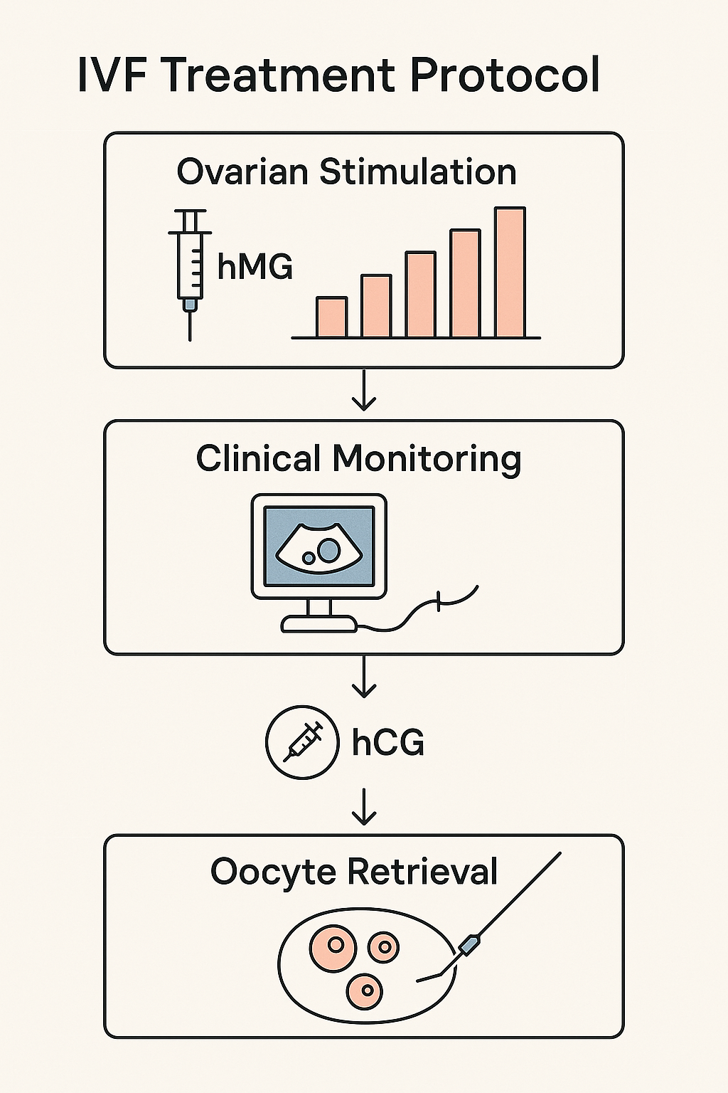 Schematic overview of IVF stimulation protocol with hMG and hCG