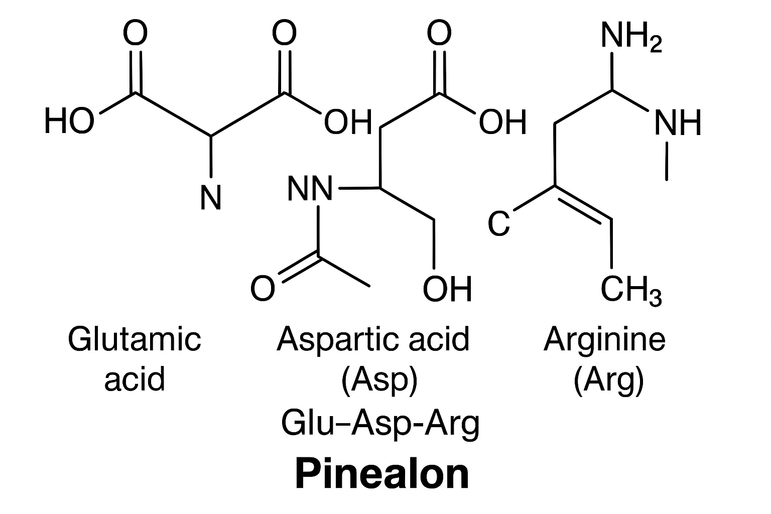 Molecular structure of Pinealon tripeptide showing amino acid sequence Glu-Asp-Arg