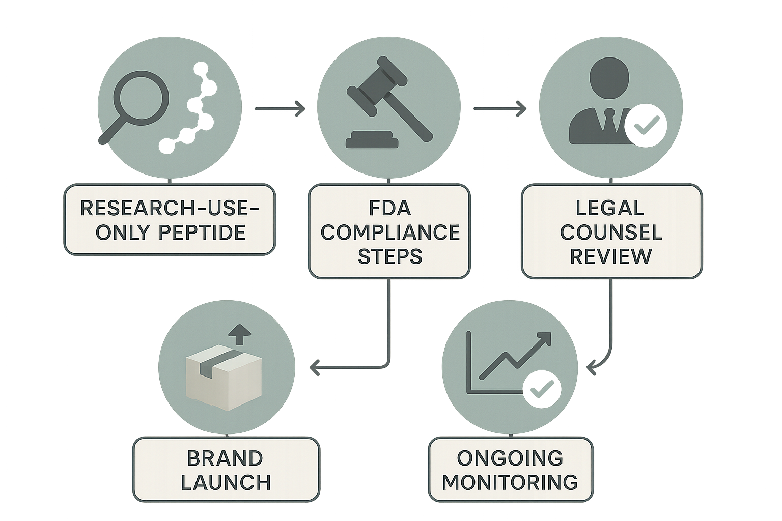 End-to-end compliance workflow showing research, FDA steps, legal review, brand launch, and monitoring phases