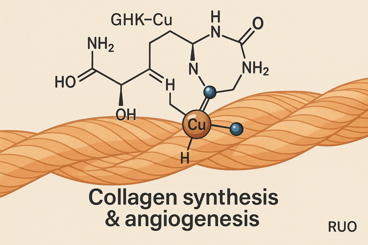Molecular illustration of the GHK‑Cu peptide complex