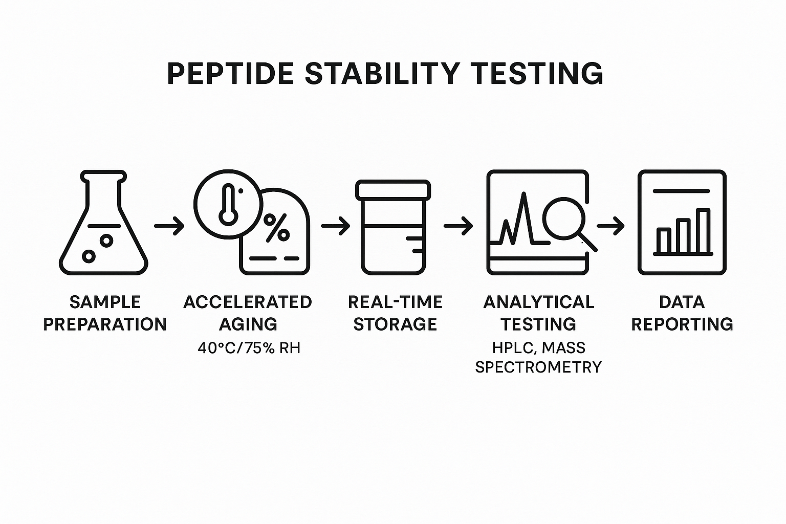 Step‑by‑step peptide stability testing workflow diagram