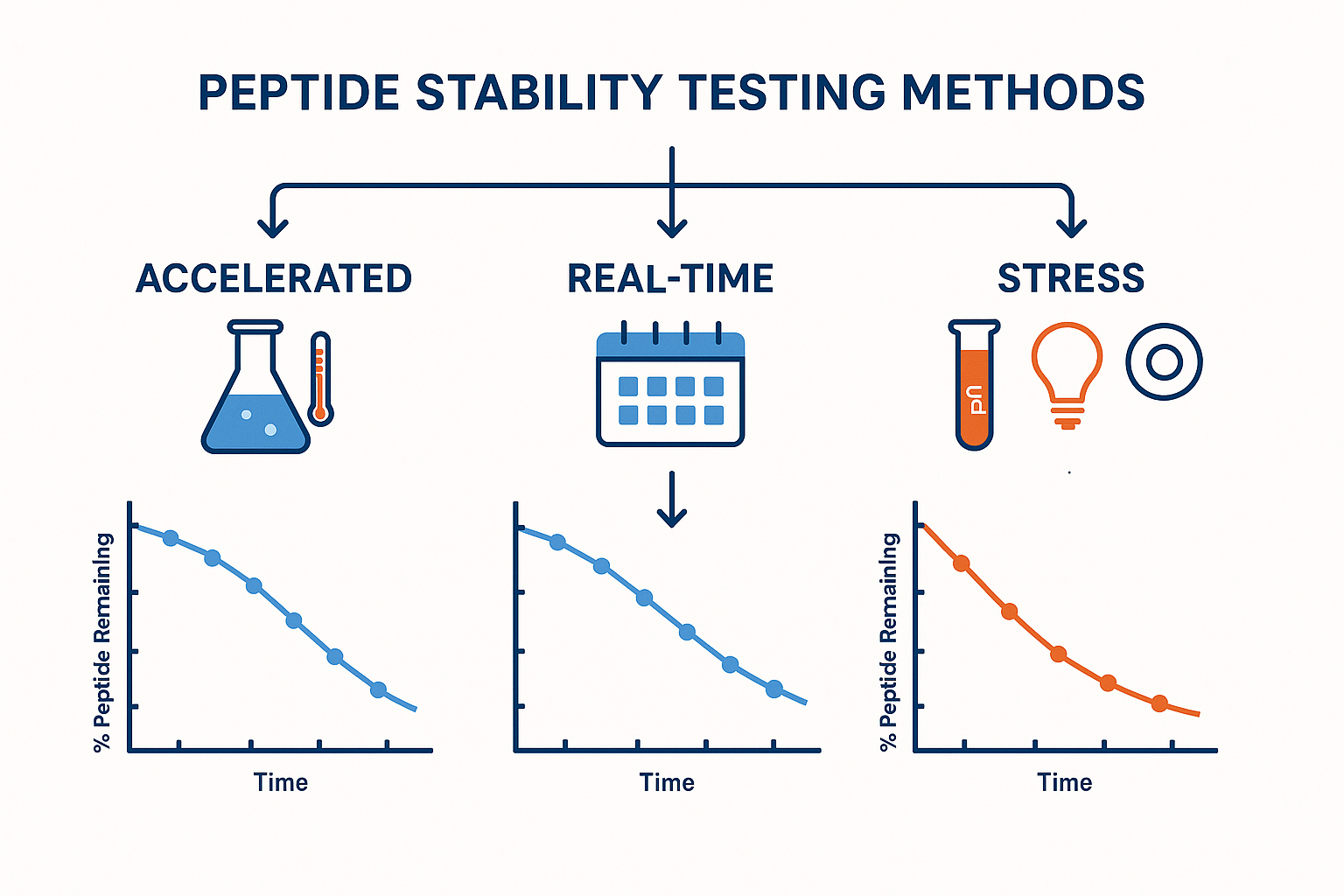Diagram illustrating accelerated, real‑time, and stress stability testing workflows for peptides