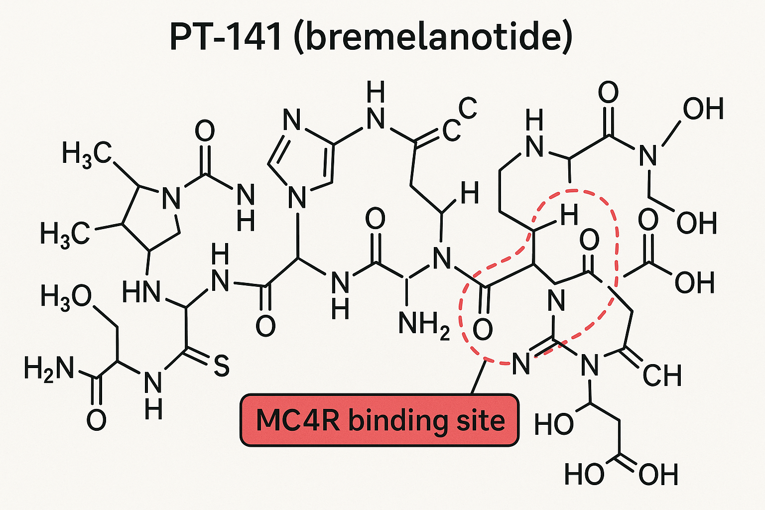 Chemical structure of PT‑141 (bremelanotide) highlighting its cyclic peptide backbone