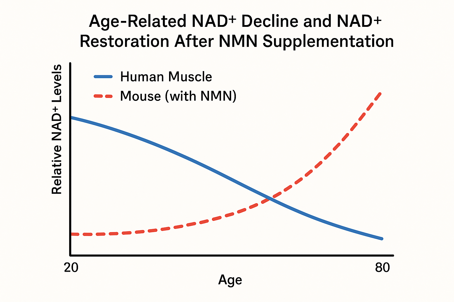 Diagram of NAD+ restoration pathways