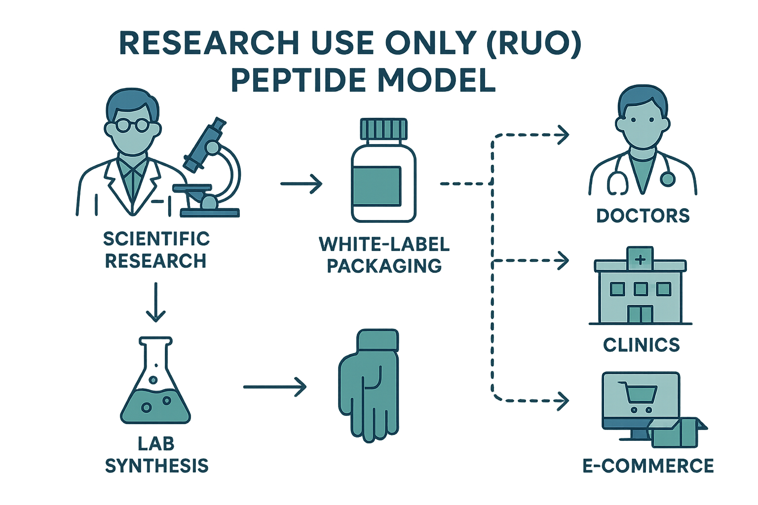 Diagram illustrating the RUO peptide lifecycle from research to white‑label distribution
