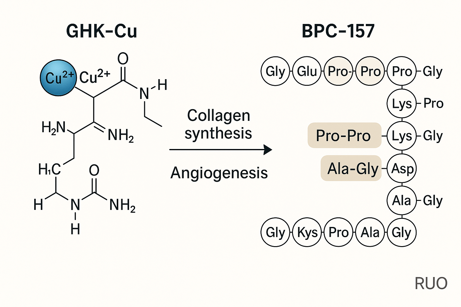 Molecular diagram of GHK‑Cu peptide complex