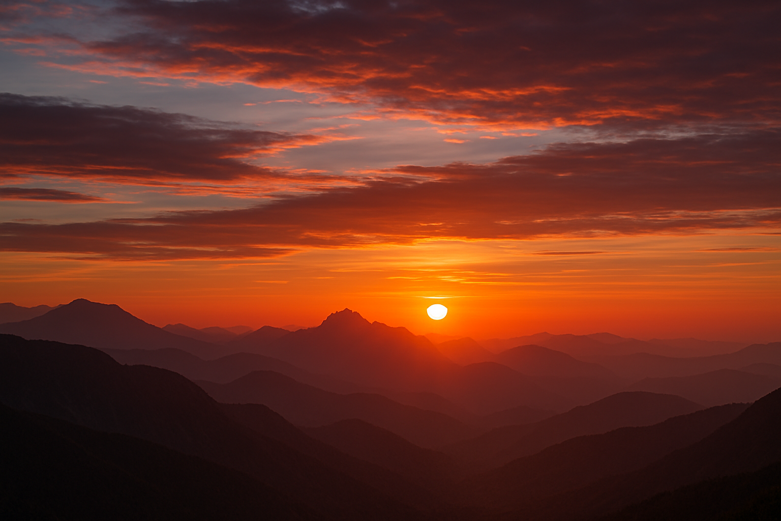 Technician applying fogger treatment inside a home