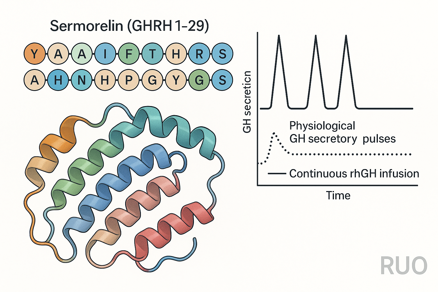 Sermorelin molecular structure and GHRH‑1‑29 fragment