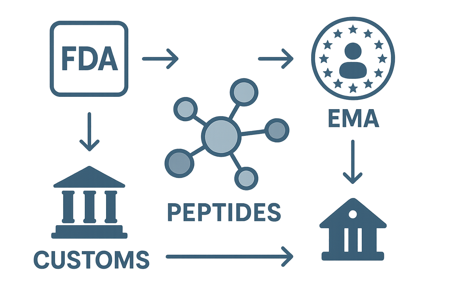 Global map highlighting regulatory hubs for peptide trade