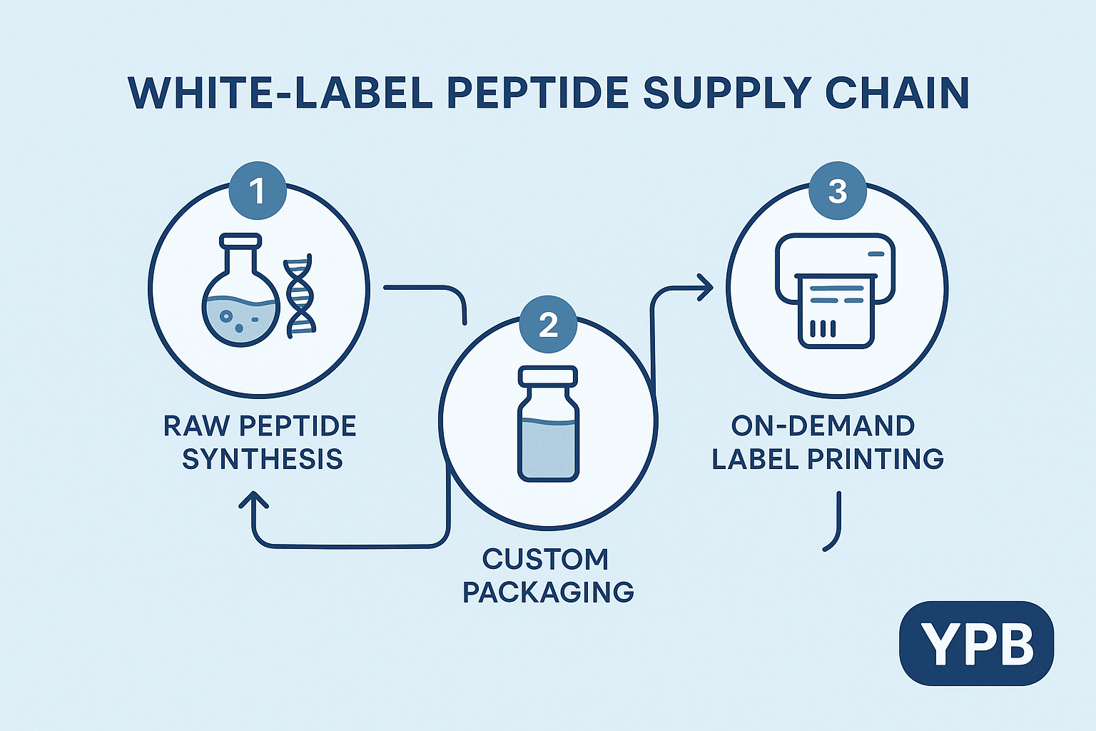 Illustration of peptide manufacturing workflow from synthesis to dropshipping